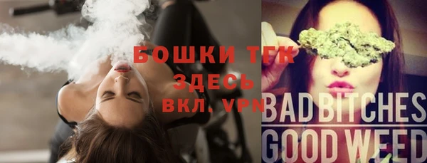 соль ск Богородицк