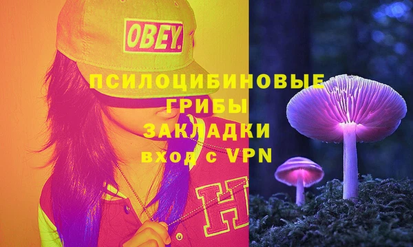 соль ск Богородицк