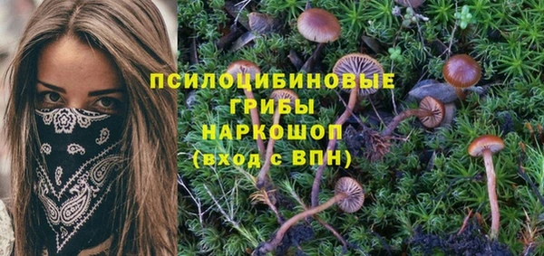 метамфетамин Тында