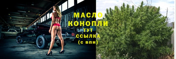 соль ск Богородицк