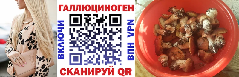 закладка Мичуринск Псилоцибиновые грибы Magic Shrooms